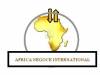 AFRICA NEGOCE INTERNATIONAL