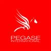 PEGASE International