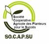 SOCAPSU- COOP CA