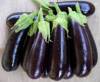 Aubergine