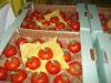 Tomates