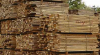 Vente de bois teck